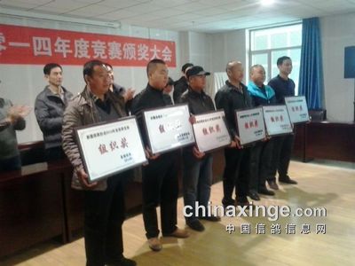 2014年在石河子参加自治区品评赛 -中国信鸽信息网 www.chinaxinge.com