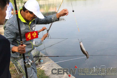 朝鲜体育产业投资指南:体育旅游为主项 短中长期各不同