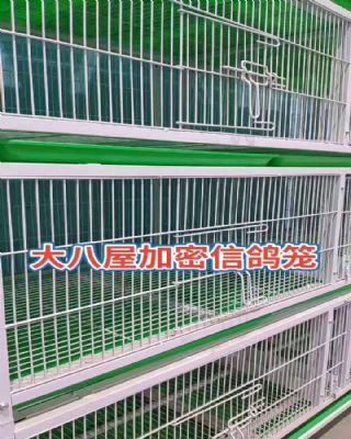 鸽饲料、鸽用品、鸽笼具企业展示展销平台_中国鸽业大全_中国信鸽信息网